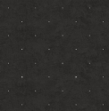 2307 Oбои