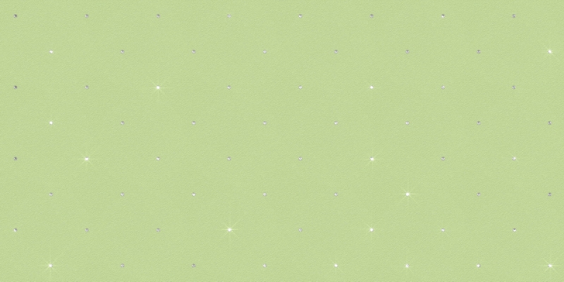 2411 Oбои