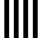 100099 Monochrome Stripe oбои 