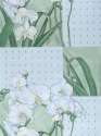Belaja orhideja k 3 Wallpaper