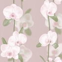 Orhideji 2194 Wallpaper