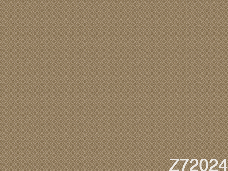 Z72024 Wallpaper