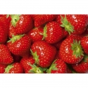 MS-5-0241 Strawberry