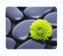 Fleece Blanket Chrysanthemum Harmony