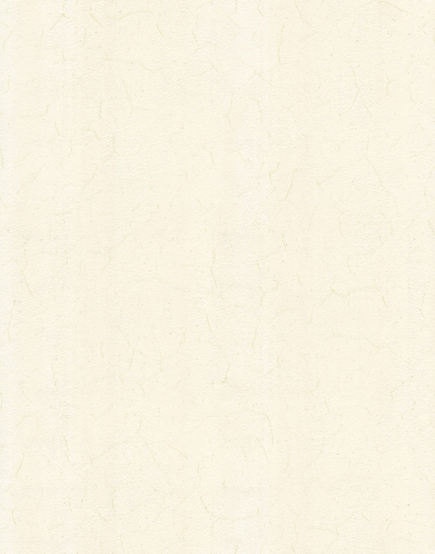 09-18004-51 Hrizantemi fon Wallpaper