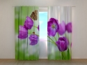 Photo curtains Tulips