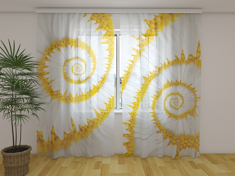 Photo curtains Snail Chamomiles