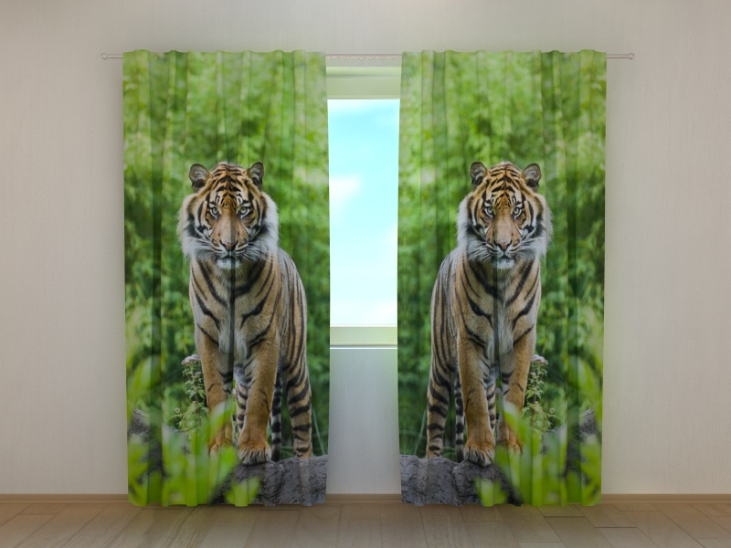 Photo curtains Two Tigers