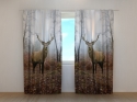 Photo curtains Deer in the Forest