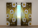 Photo curtains Abstract Chamomile Flowers