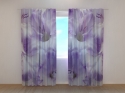 Photo curtains Gladioli