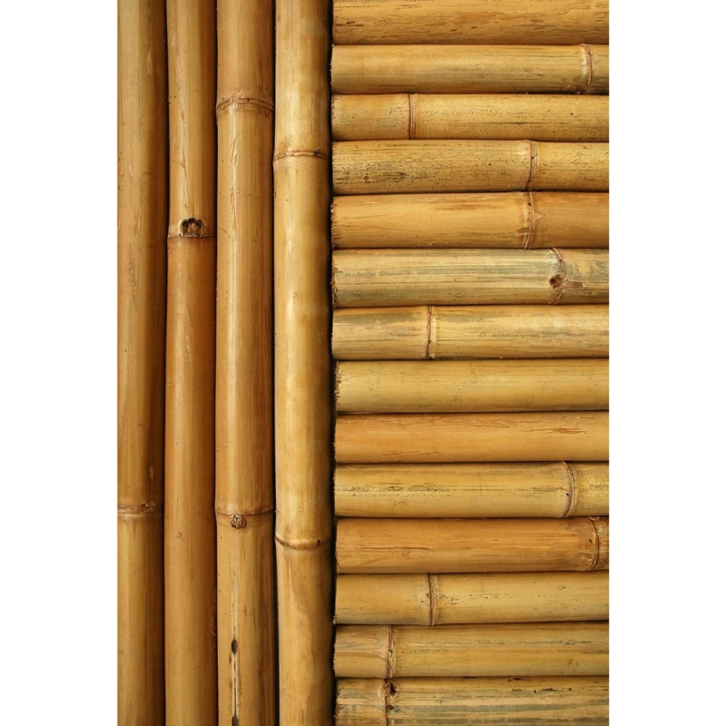 Bamboo