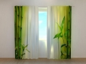 Photo curtains Green Fresh Bamboo