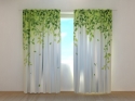 Photo curtains Green Lianas with Leaves