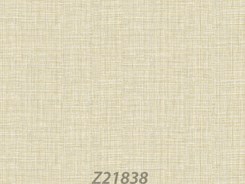 Z21838 Wallpaper