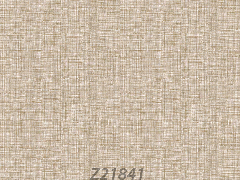 Z21841 Wallpaper
