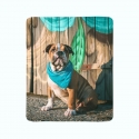 Fleece Blanket Stylish English Bulldog Puppy