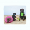 Флисовый плед Собаки отдыхают на пляже