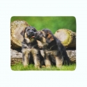 Fleece Blanket Cute German Shepherd Puppies