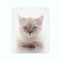 Флисовый плед Голубоглазая кошка