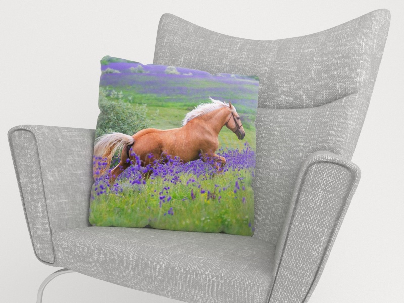 Spilvendrānas Palomino zirgs ziedu laukā