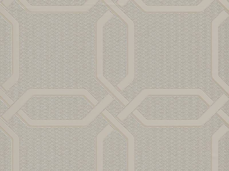 Z21107 Wallpaper