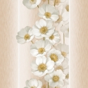 Altaj 4912 Wallpaper