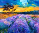 Violet field