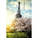 Spring in Paris