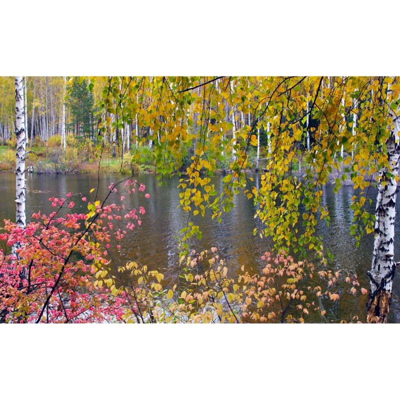 Landscape with river