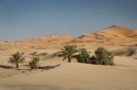 Oase in der Sahara