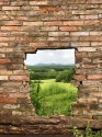 Window in brick wall 