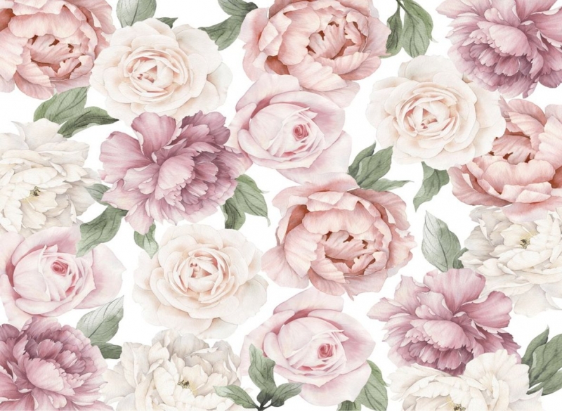 Rozā peonijas baltas rozes  