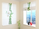 Roman Blind Bamboo and white orchid