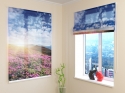 Roman Blind Flower and Mountains