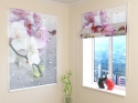 Roman Blind Orchids and Rain