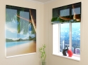 Roman Blind Ocean and Palm Trees