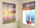 Roman Blind Sunset over Meadow