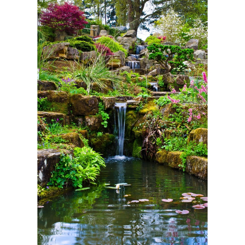 Garden with waterfall