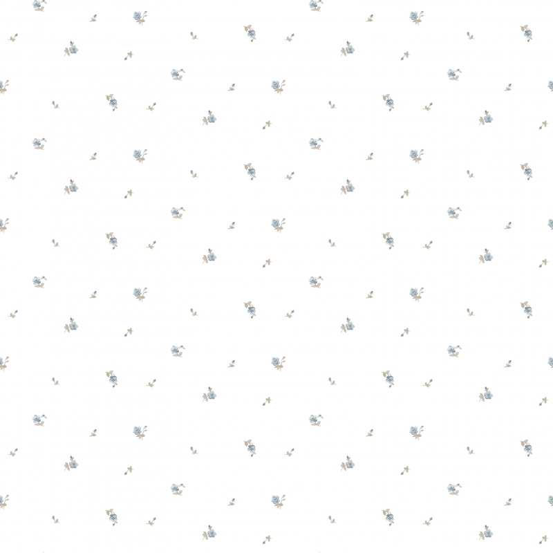 12343 Wallpaper