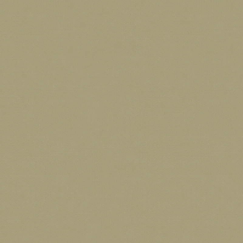 Z54513 Tapete